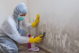 Best Real Estate Mold Inspection  in Dock Junction, GA